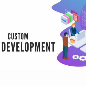 custom-web-development